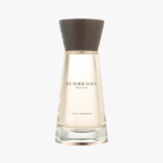 Burberry Touch 3.3oz EDP (W)